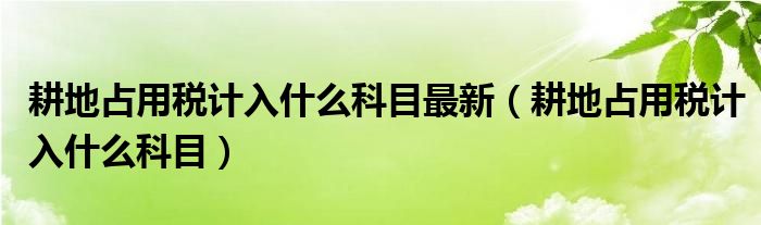 耕地占用税计入什么科目最新(耕地占用税计入什么科目)