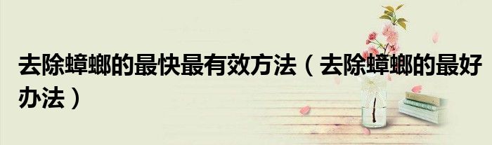 去除蟑螂的最快最有效方法(去除蟑螂的最好办法)