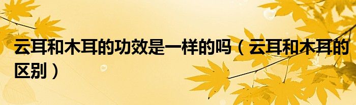 云耳和木耳的功效是一样的吗(云耳和木耳的区别)