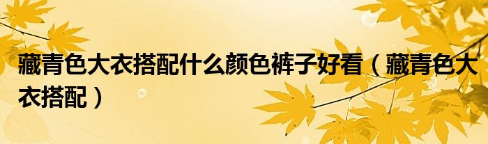 藏青色大衣搭配什么颜色裤子好看(藏青色大衣搭配)