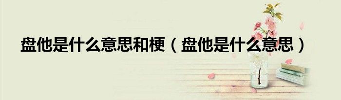 盘他是什么意思和梗(盘他是什么意思)