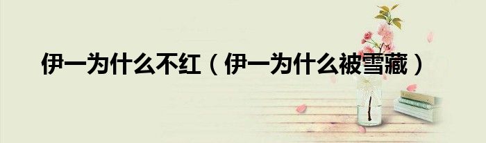 伊一为什么不红(伊一为什么被雪藏)
