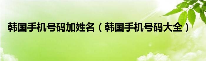 韩国手机号码加姓名(韩国手机号码大全)