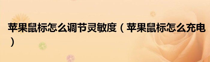 苹果鼠标怎么调节灵敏度(苹果鼠标怎么充电)