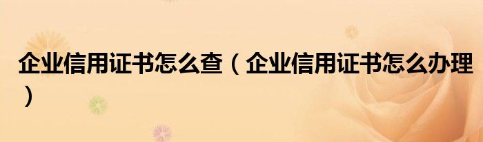企业信用证书怎么查(企业信用证书怎么办理)