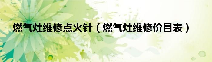燃气灶维修点火针(燃气灶维修价目表)