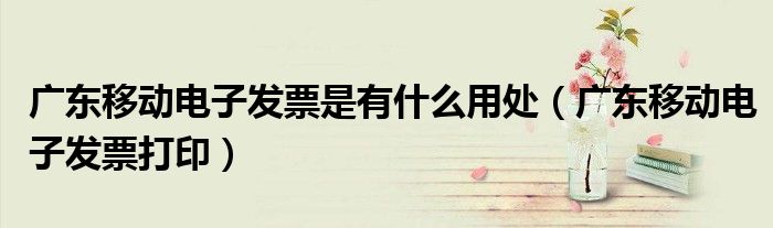广东移动电子发票是有什么用处(广东移动电子发票打印)