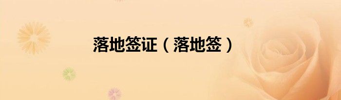 落地签证(落地签)