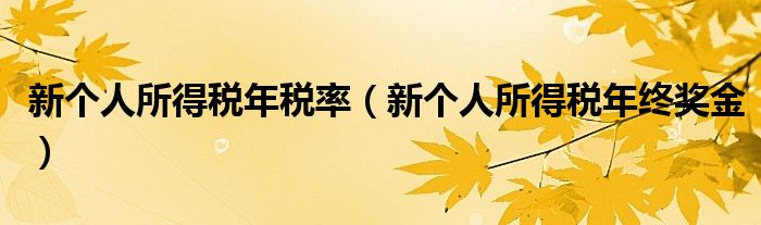 新个人所得税年税率（新个人所得税年终奖金）