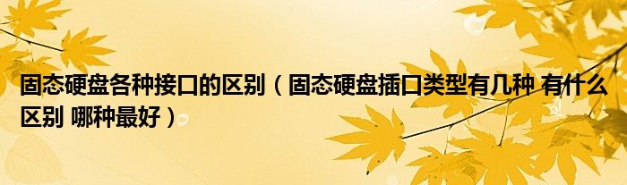 固态硬盘各种接口的区别(固态硬盘插口类型有几种 有什么区别 哪种最好)