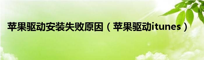 苹果驱动安装失败原因（苹果驱动itunes）