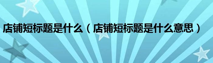店铺短标题是什么(店铺短标题是什么意思)