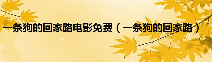 一条狗的回家路电影免费(一条狗的回家路)