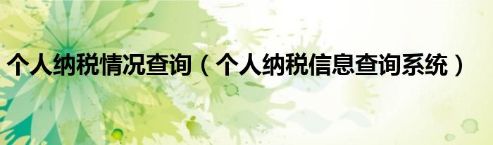 个人纳税情况查询(个人纳税信息查询系统)
