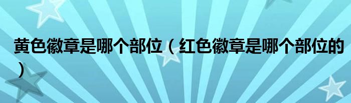 黄色徽章是哪个部位(红色徽章是哪个部位的)