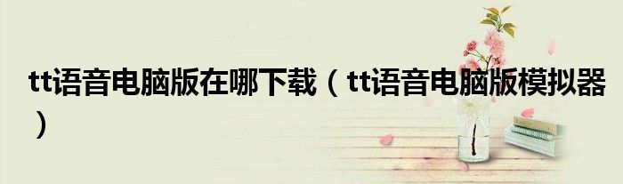 tt语音电脑版在哪下载（tt语音电脑版模拟器）