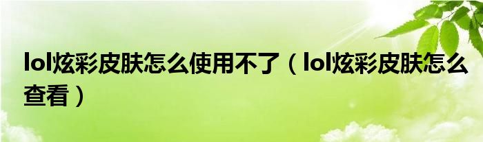 lol炫彩皮肤怎么使用不了(lol炫彩皮肤怎么查看)