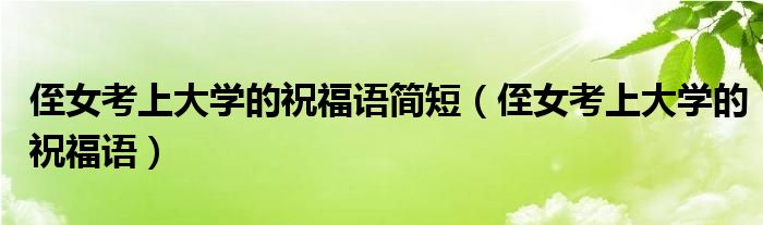 侄女考上大学的祝福语简短(侄女考上大学的祝福语)