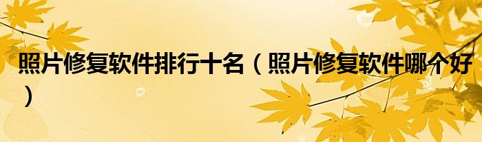 照片修复软件排行十名(照片修复软件哪个好)
