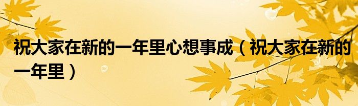 祝大家在新的一年里心想事成（祝大家在新的一年里）