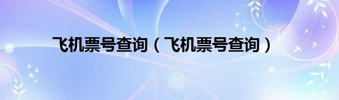 飞机票号查询(飞机票号查询)