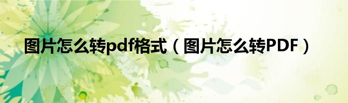 图片怎么转pdf格式(图片怎么转PDF)