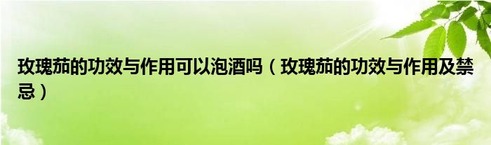 玫瑰茄的功效与作用可以泡酒吗(玫瑰茄的功效与作用及禁忌)