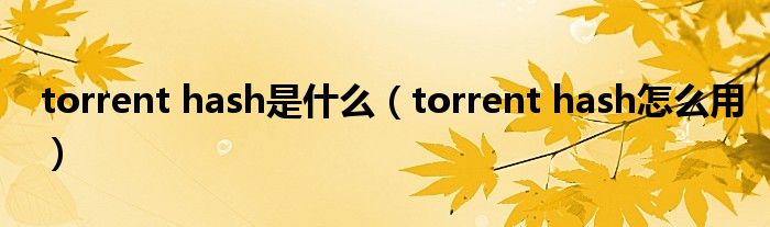 torrent hash是什么(torrent hash怎么用)