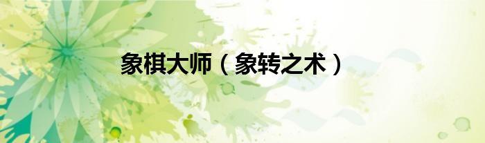 象棋大师（象转之术）