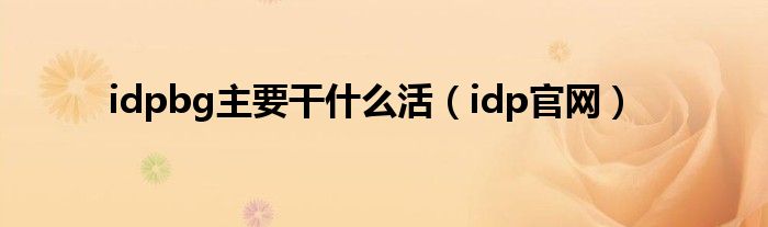 idpbg主要干什么活(idp官网)