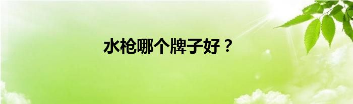水枪哪个牌子好？
