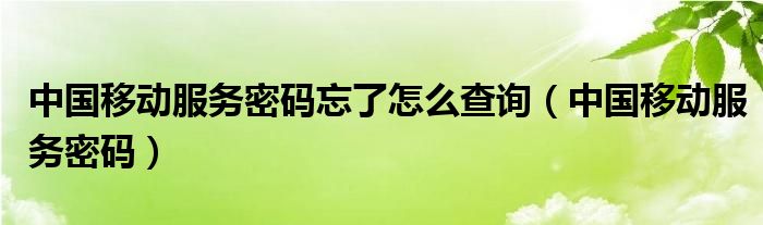 中国移动服务密码忘了怎么查询(中国移动服务密码)
