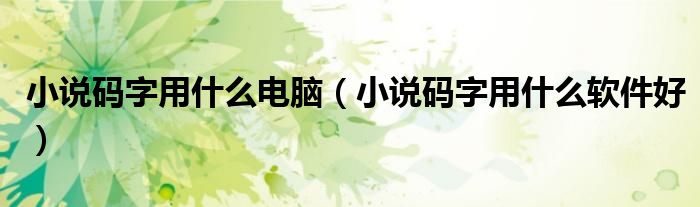 小说码字用什么电脑(小说码字用什么软件好)