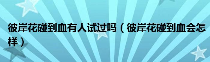 彼岸花碰到血有人试过吗(彼岸花碰到血会怎样)