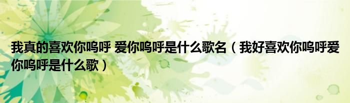 我真的喜欢你呜呼 爱你呜呼是什么歌名(我好喜欢你呜呼爱你呜呼是什么歌)