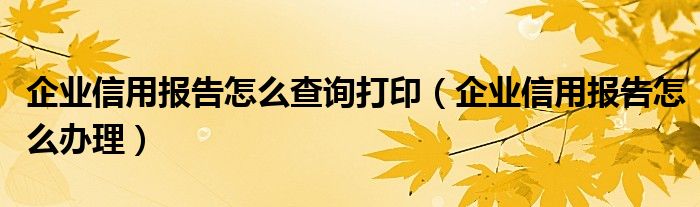 企业信用报告怎么查询打印(企业信用报告怎么办理)
