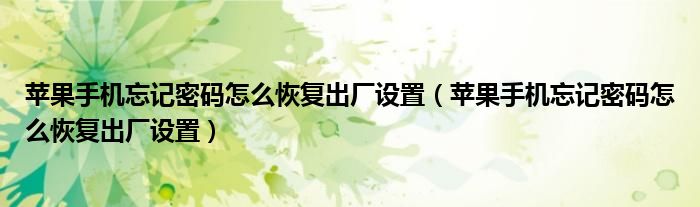 苹果手机忘记密码怎么恢复出厂设置(苹果手机忘记密码怎么恢复出厂设置)