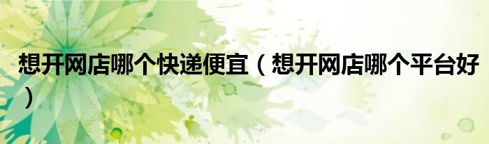 想开网店哪个快递便宜(想开网店哪个平台好)