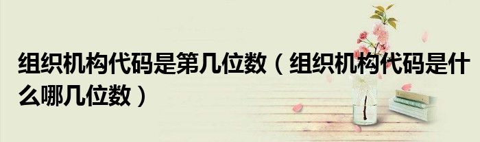 组织机构代码是第几位数(组织机构代码是什么哪几位数)