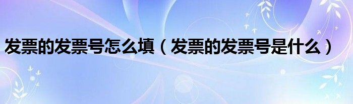 发票的发票号怎么填(发票的发票号是什么)