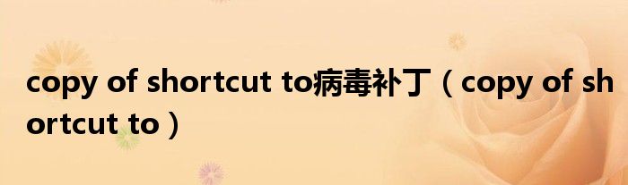 copy of shortcut to病毒补丁(copy of shortcut to)
