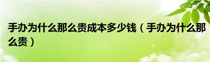 手办为什么那么贵成本多少钱(手办为什么那么贵)