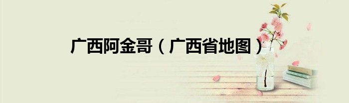 广西阿金哥(广西省地图)