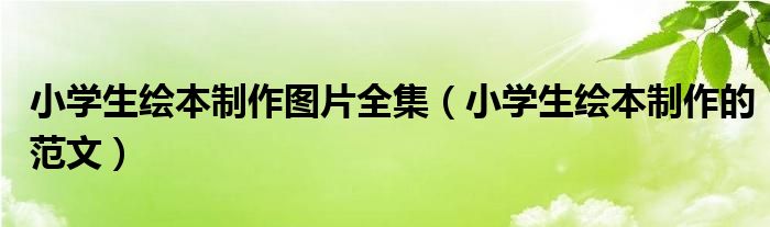 小学生绘本制作图片全集(小学生绘本制作的范文)