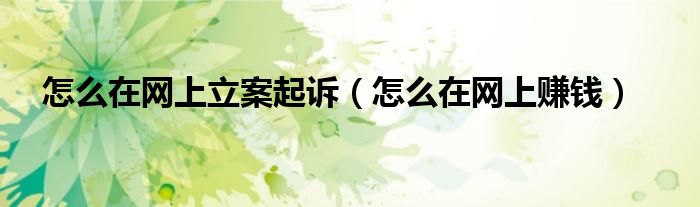 怎么在网上立案起诉(怎么在网上赚钱)