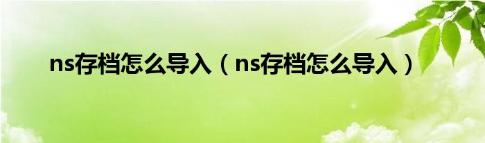 ns存档怎么导入(ns存档怎么导入)