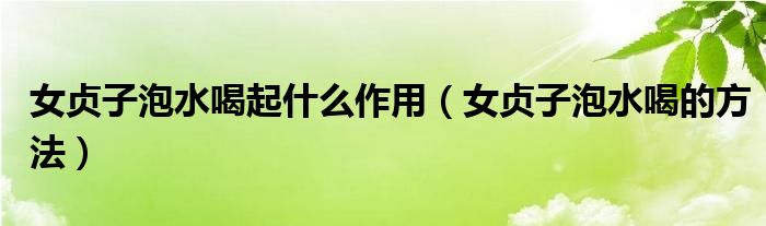 女贞子泡水喝起什么作用(女贞子泡水喝的方法)