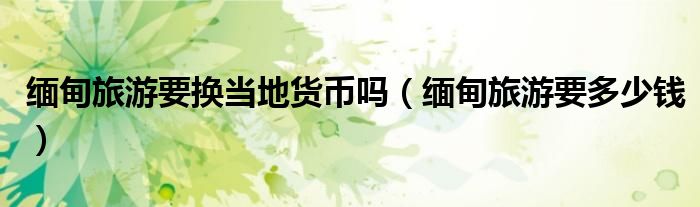 缅甸旅游要换当地货币吗(缅甸旅游要多少钱)