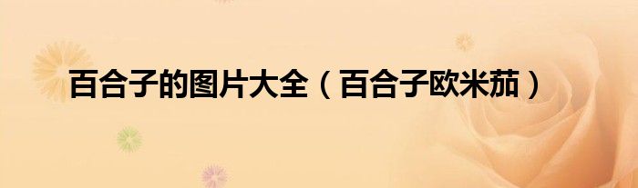 百合子的图片大全(百合子欧米茄)