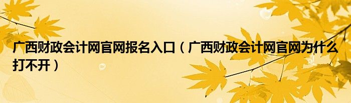 广西财政会计网官网报名入口(广西财政会计网官网为什么打不开)
